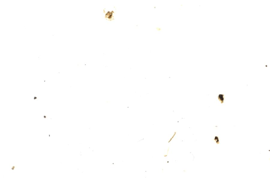 Image 68